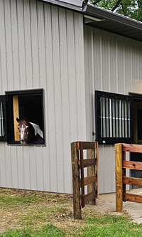 Snyder Horse Barn