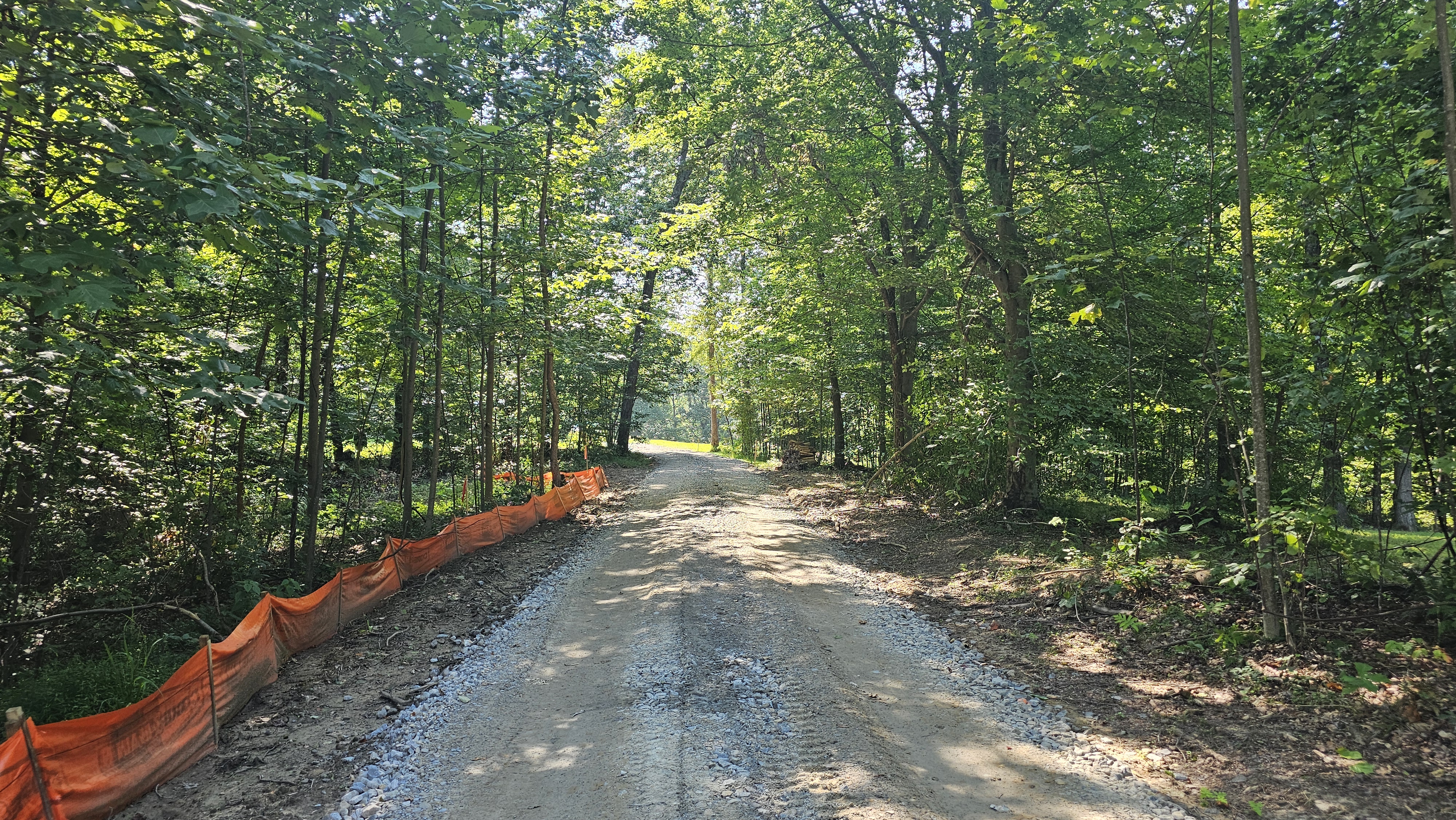 Chamness House wooded construction site and access drive